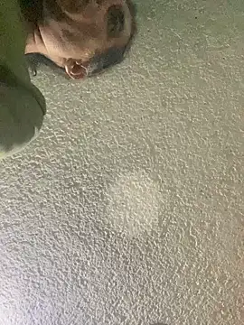 Snapshot of Effyvice13 chatting on September 29, 2025, 6:09 am Effyvice13 online show from September 29, 2025, 6:09 am