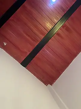 Cassie-millers online show from December 20, 2024, 2:59 pm