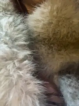 Snapshot of babydolll chatting on March 12, 2025, 4:46 pm babydolll online show from March 12, 2025, 4:46 pm