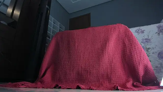 sherilkwang19tv online show from January 12, 2026, 12:50 am