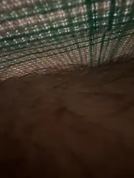 Snapshot of studdboyy chatting on December 17, 2025, 3:33 am studdboyy online show from December 17, 2025, 3:33 am