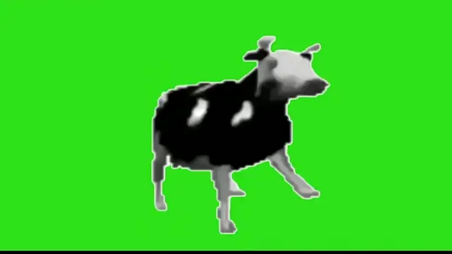 awesome anna online show from February 13, 2026, 10:59 am