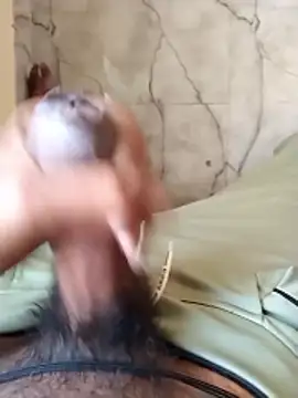 PracticalGum40 online show from January 7, 2026, 3:11 am