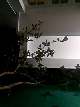 Jhon837486 online show from December 29, 2024, 2:21 pm