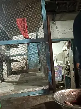 Snapshot of Skinny_Bigass_23 chatting on February 10, 2025, 2:59 pm Skinny Bigass 23 online show from February 10, 2025, 2:59 pm