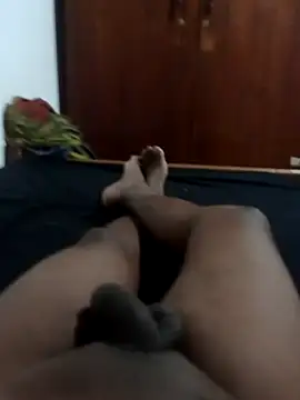 Snapshot of Sl_python chatting on December 13, 2024, 5:10 pm Sl python online show from December 13, 2024, 5:10 pm