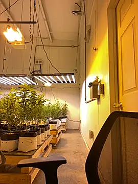 jr91esl online show from March 2, 2025, 6:05 am