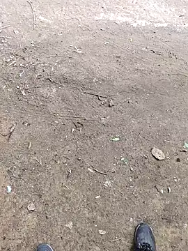 faaseel online show from October 8, 2025, 7:21 am