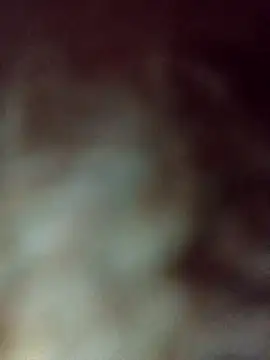 FlacoDani online show from October 17, 2025, 1:24 pm