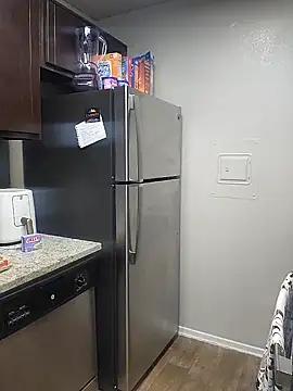 TwilightSiren online show from January 11, 2025, 1:06 am