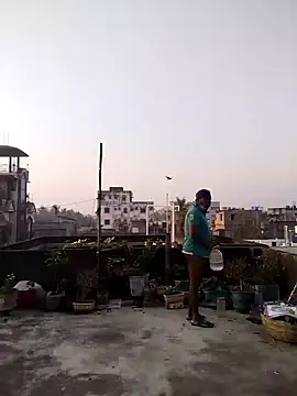 Jeetshine 1234 online show from December 12, 2024, 1:32 am