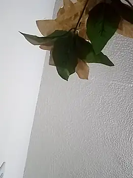 Naomy veracruz  online show from February 13, 2026, 10:59 am