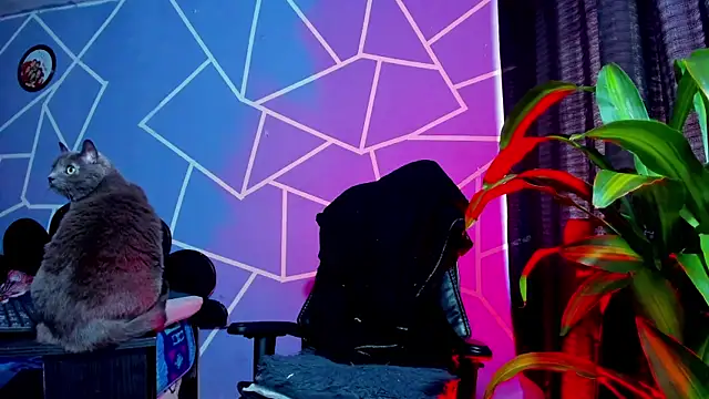 thakytona online show from January 18, 2026, 9:51 pm