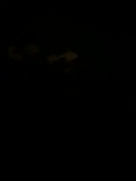 GangsterCouple-Aimy-Jonny online show from February 23, 2026, 8:31 pm