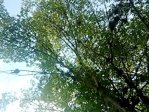 Snapshot of Darly_Gomez chatting on March 15, 2025, 3:27 pm Darly Gomez online show from March 15, 2025, 3:27 pm