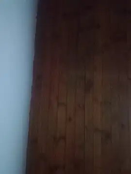 Snapshot of Darly_Gomez chatting on February 18, 2025, 11:52 pm Darly Gomez online show from February 18, 2025, 11:52 pm