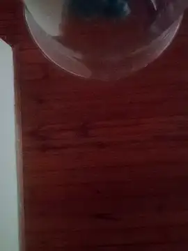 Snapshot of Darly_Gomez chatting on February 17, 2025, 10:16 pm Darly Gomez online show from February 17, 2025, 10:16 pm