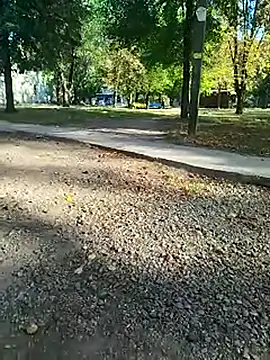 sanek1995sexx online show from September 26, 2025, 12:45 pm