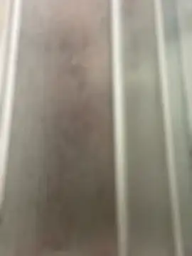 Snapshot of FrankJake99 chatting on October 8, 2025, 11:27 pm FrankJake99 online show from October 8, 2025, 11:27 pm