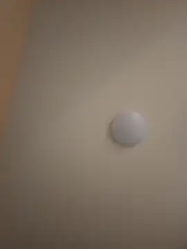 fertolcift online show from January 31, 2025, 10:31 am