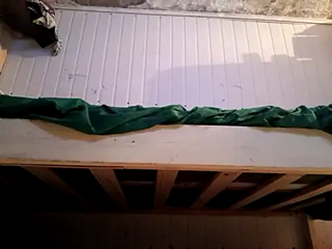 frotasso online show from February 16, 2025, 5:48 am