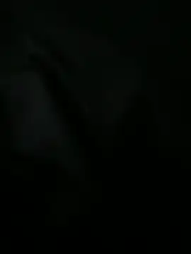 bra zuka online show from December 12, 2024, 7:48 pm