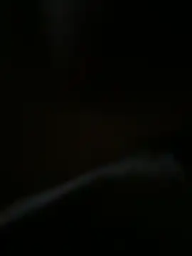 bra zuka online show from December 13, 2024, 8:41 am