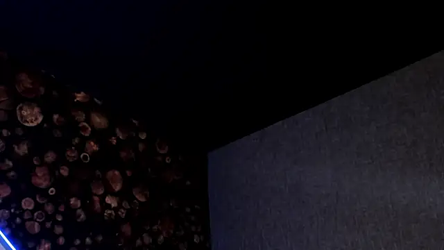 ArtemisaBlake online show from March 15, 2025, 7:48 pm