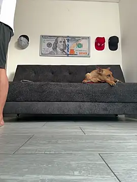 boss of cash online show from February 27, 2026, 12:16 pm