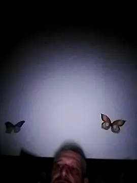 Husoban online show from November 25, 2025, 11:48 pm