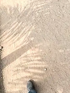 Snapshot of chootkapyasa007 chatting on October 29, 2025, 6:56 am chootkapyasa007 online show from October 29, 2025, 6:56 am