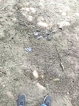 Snapshot of chootkapyasa007 chatting on October 15, 2025, 7:27 am chootkapyasa007 online show from October 15, 2025, 7:27 am