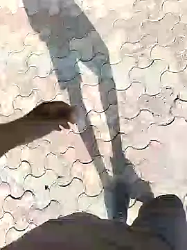 Snapshot of chootkapyasa007 chatting on September 13, 2025, 10:48 am chootkapyasa007 online show from September 13, 2025, 10:48 am