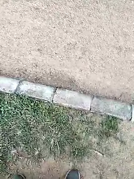 Snapshot of chootkapyasa007 chatting on October 16, 2025, 12:13 pm chootkapyasa007 online show from October 16, 2025, 12:13 pm