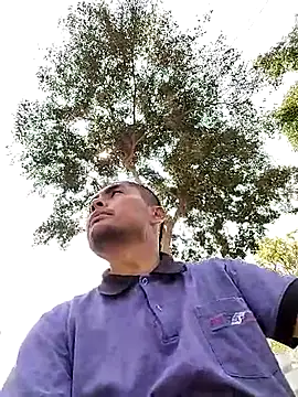 Crashsolitario online show from April 13, 2026, 4:11 pm