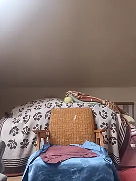 danitomii online show from March 31, 2026, 6:26 am