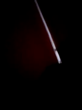 Snapshot of Soniya_444 chatting on November 22, 2025, 9:08 am Soniya 444 online show from November 22, 2025, 9:08 am