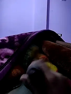 PLAYBOYYRAAJ online show from January 15, 2025, 2:02 pm