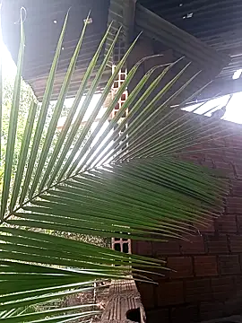 Andres123cv online show from December 18, 2025, 9:18 pm