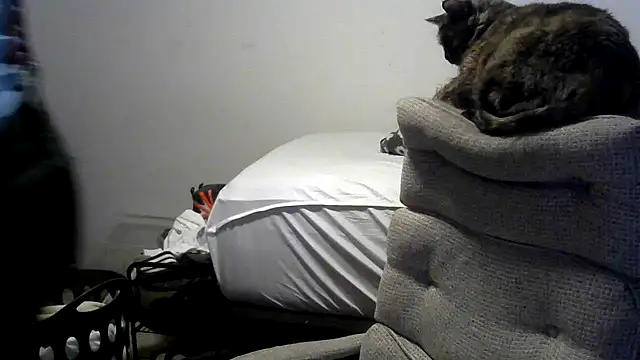 Snapshot of viejo_oso chatting on April 10, 2026, 3:24 am viejo oso online show from April 10, 2026, 3:24 am
