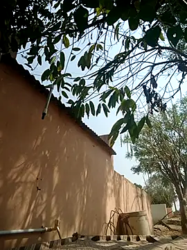 Snapshot of carria_homes chatting on March 14, 2025, 9:14 am carria homes online show from March 14, 2025, 9:14 am