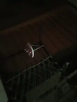 Snapshot of carria_homes chatting on October 10, 2025, 7:36 pm carria homes online show from October 10, 2025, 7:36 pm