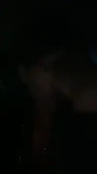 Snapshot of cinnabunzbunz86 chatting on February 19, 2025, 4:23 am cinnabunzbunz86 online show from February 19, 2025, 4:23 am