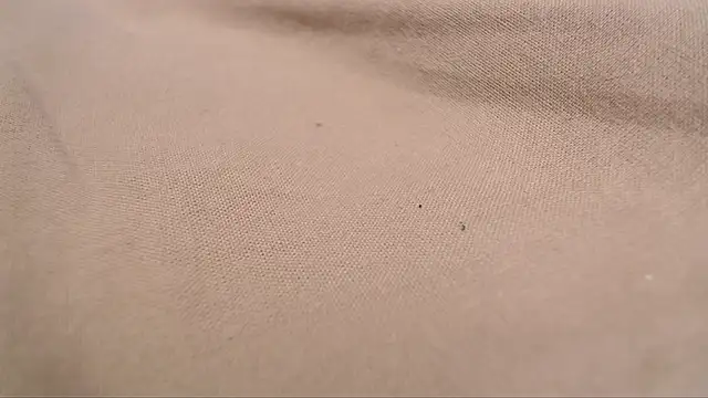 Lona-s online show from April 8, 2026, 11:22 am