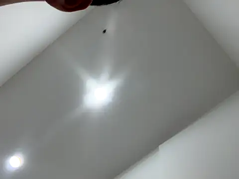 Snapshot of Sexocokin chatting on December 16, 2025, 1:15 pm Sexocokin online show from December 16, 2025, 1:15 pm