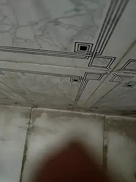 dreamers dick online show from January 4, 2025, 8:06 am