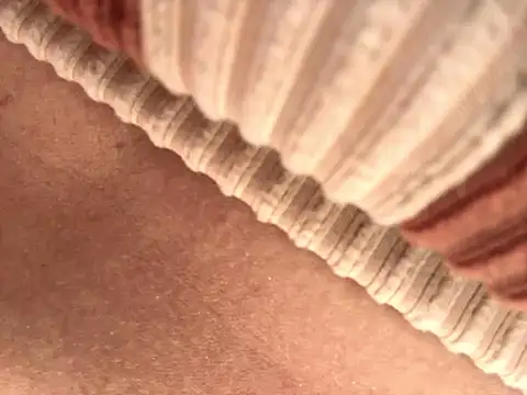 BELLA--26 online show from September 17, 2025, 1:46 pm