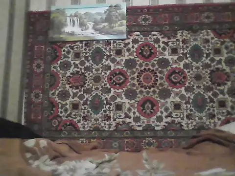 AlferezzSolvajo online show from November 20, 2025, 8:31 pm