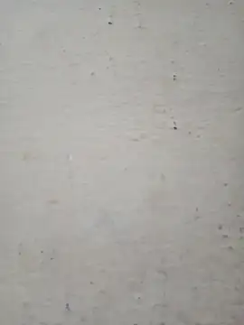 Pooja cut online show from December 17, 2025, 2:27 am