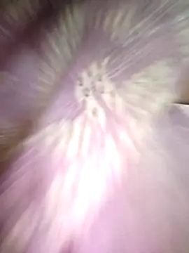 Snapshot of priyancyfun chatting on November 19, 2025, 4:51 pm priyancyfun online show from November 19, 2025, 4:51 pm